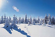 Winter in Grafenau Bayerischer Wald